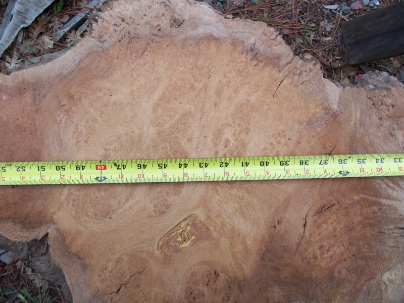 California Claro Black Walnut Burl
