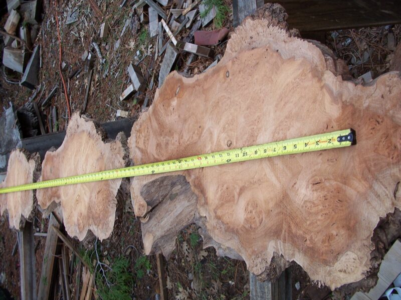 California Claro Black Walnut Burl