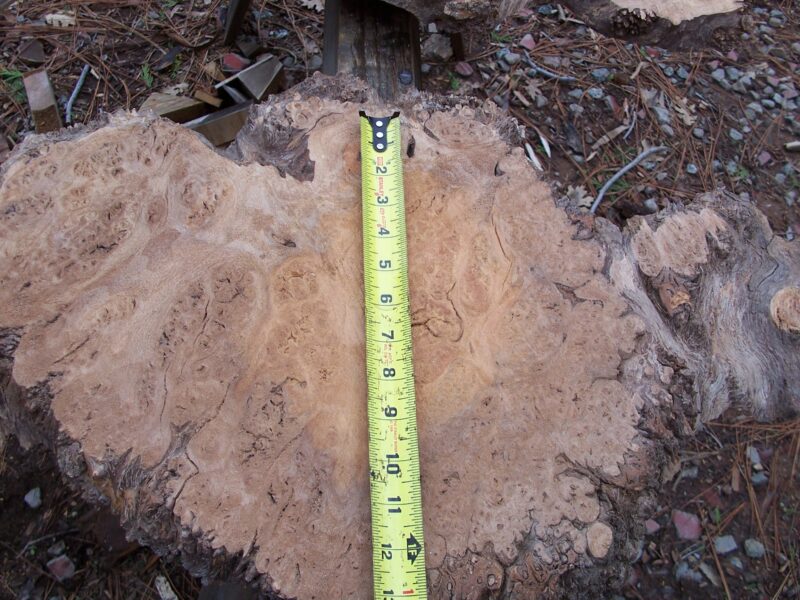 California Claro Black Walnut Burl