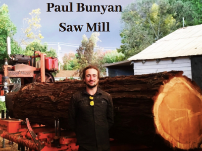 Paul Bunyan Saw Mill