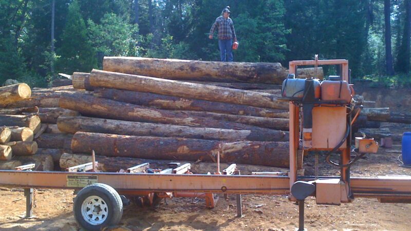 Ron Trout on top of log deck.