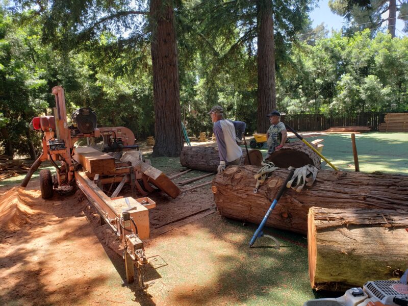 Ron Trout Portable Sawmill Service