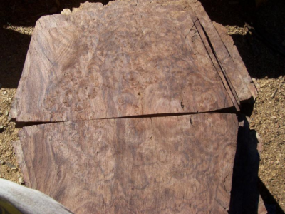 California Claro Black Walnut Burl