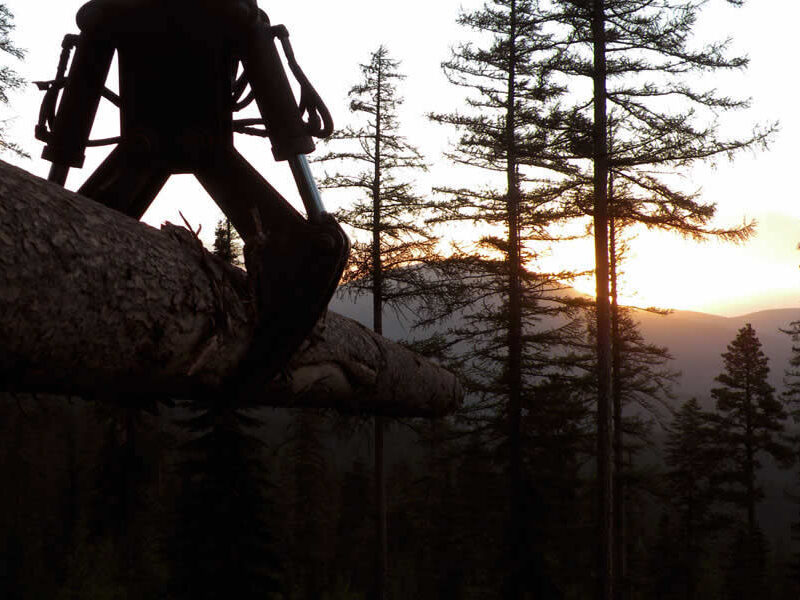 Hunts Timbers