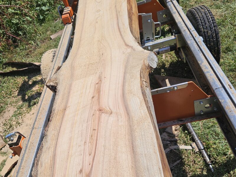 Portable Sawmill Service in East TN