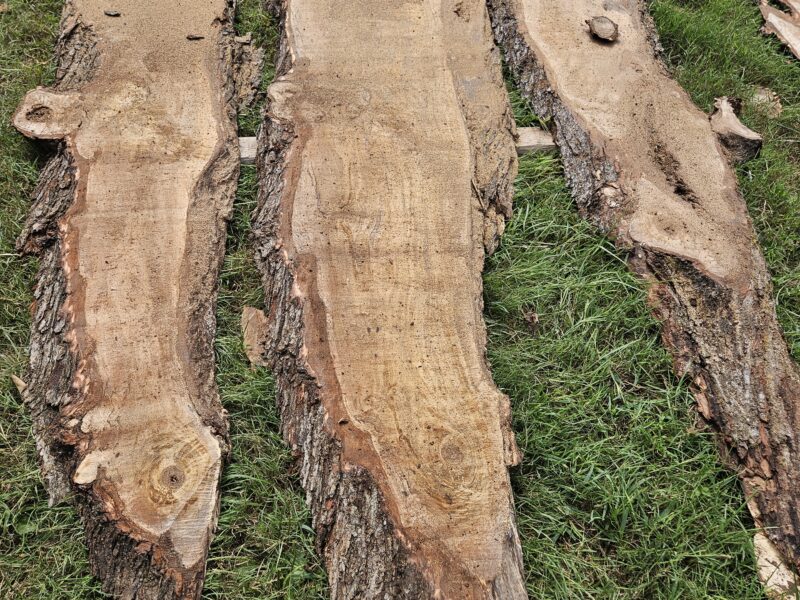 Portable Sawmill Service in East TN