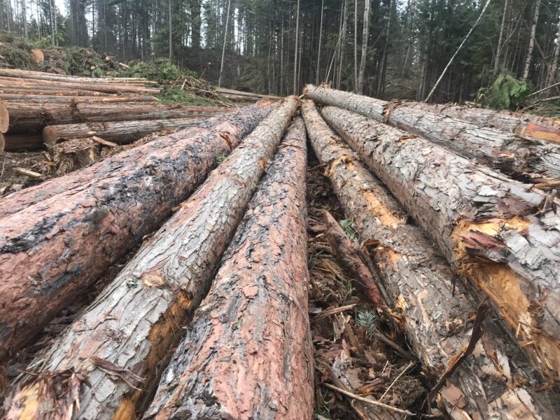 ATF Timberland Consulting