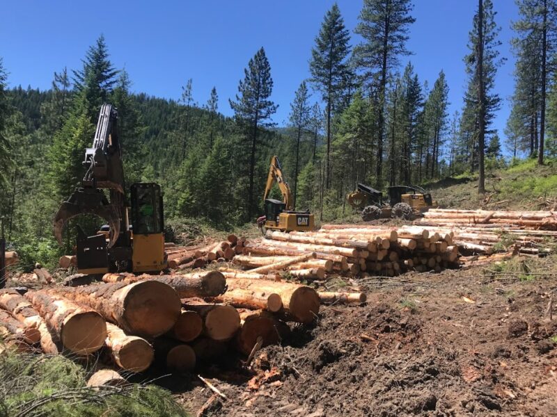 ATF Timberland Consulting