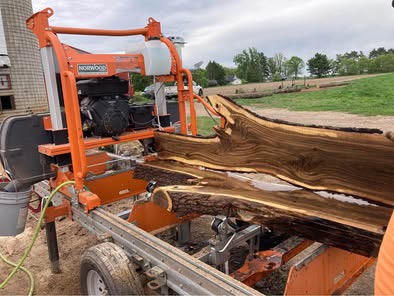 MSeed Wood Transformations