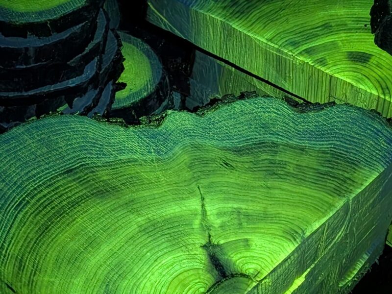 Bole to Board Sawmill LLC